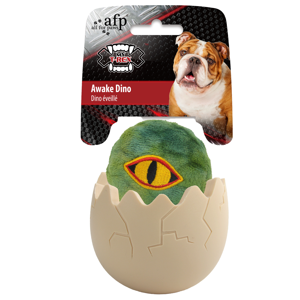 AFP My T-Rex Awake Dino