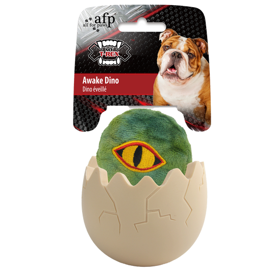 AFP My T-Rex Awake Dino