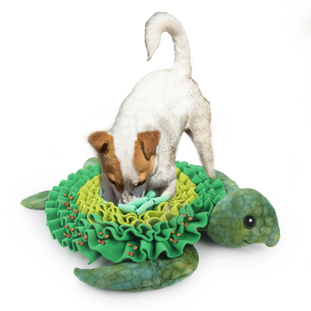 AFP  Dig It - Treat Mat Meeresschildkröte