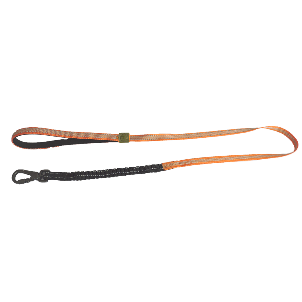 AFP Off Street - Dog Leash Mandarine S