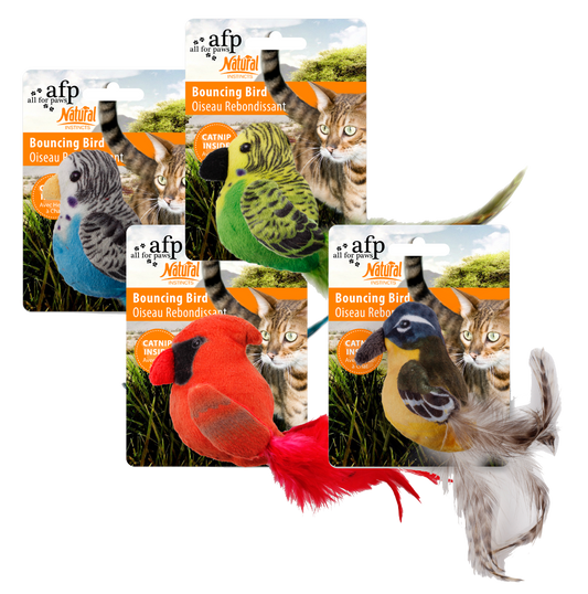 AFP Natural Instincts - Bouncing Bird