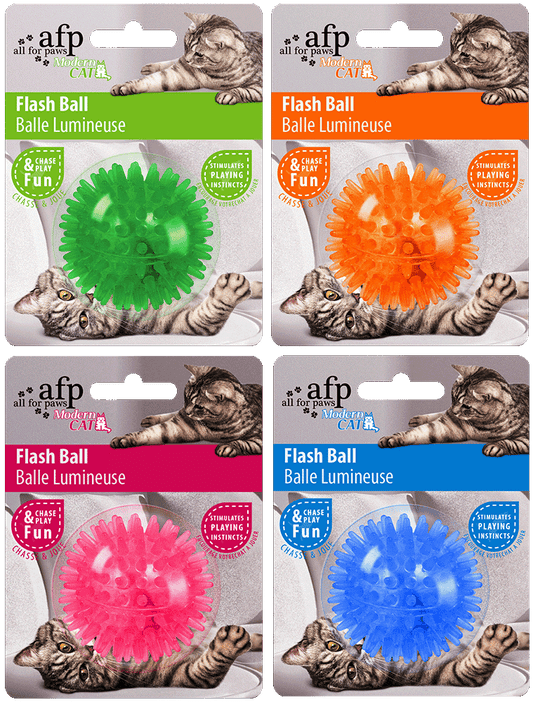 AFP Modern Cat - Flash Ball