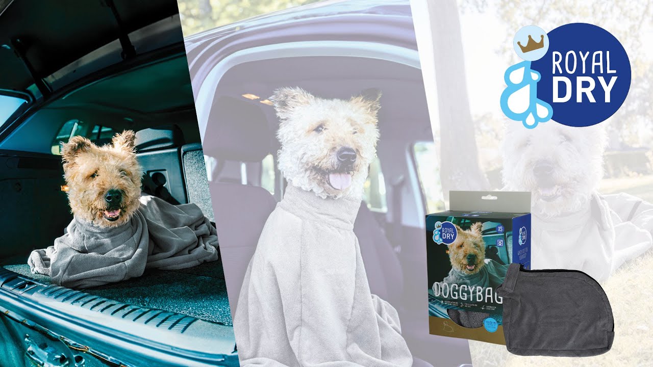 Royal Dry Doggy Bag Trockenbeutel L