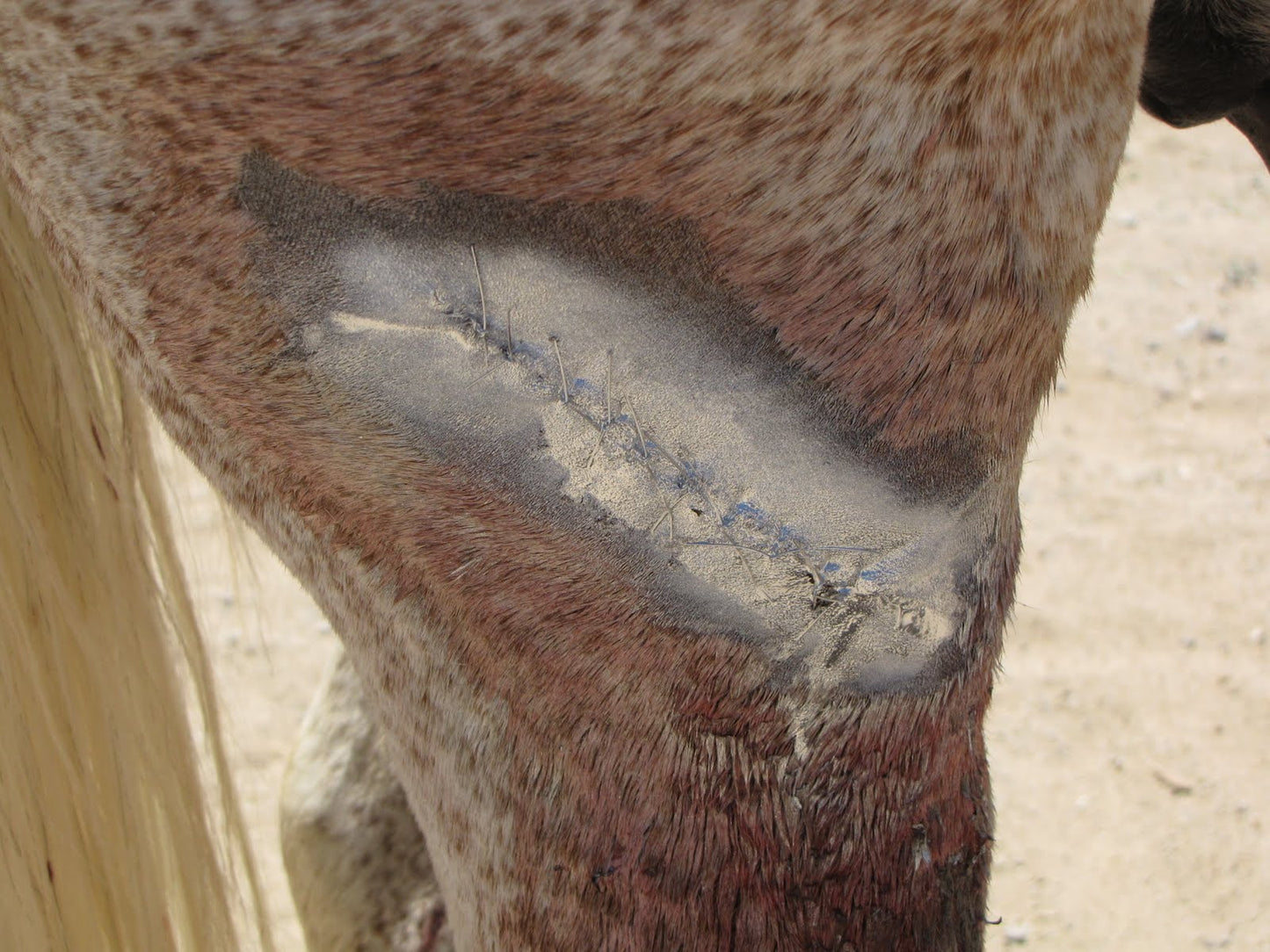 Excellent Aluminium Spray