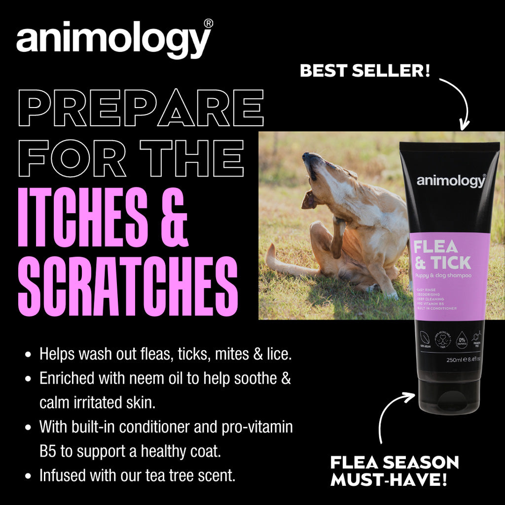 Animology Flea & Tick Dog Shampoo 250 ml