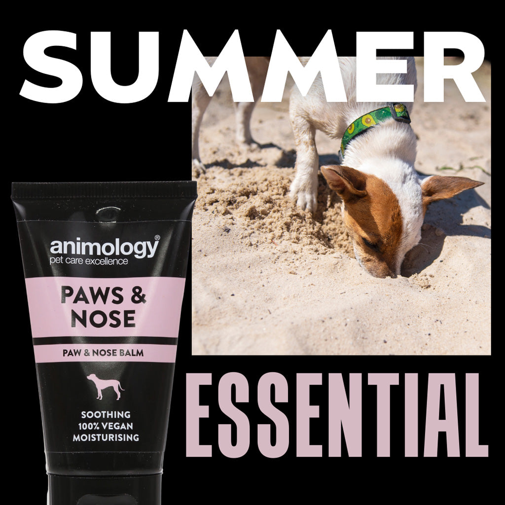 Animology Paws & Nose Balm 50 ml