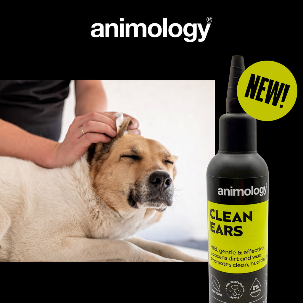 Animology Clean Ears 100 ml