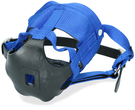 The Ultimate Muzzle Shetland