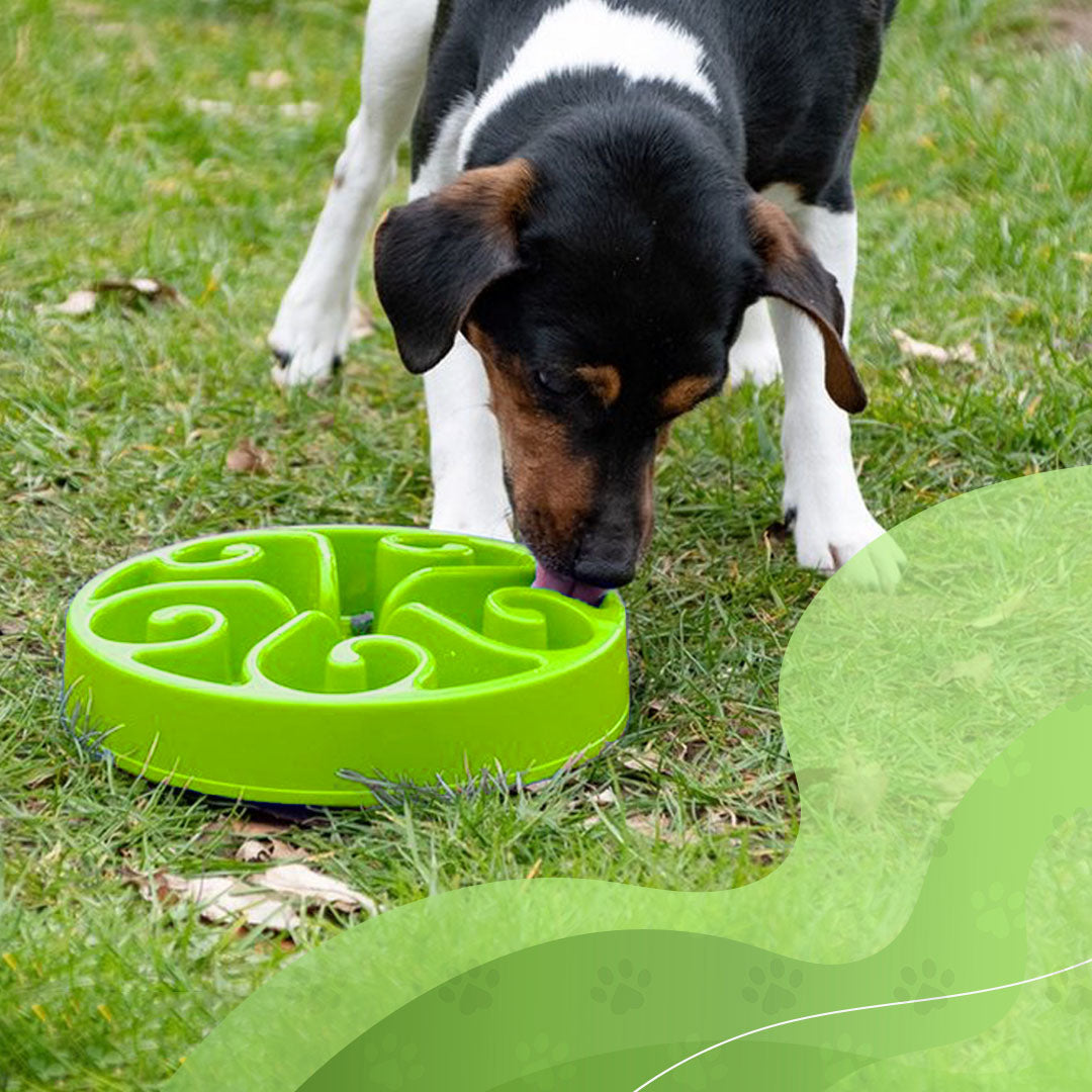 Eat Slow Live Longer Original Grün L