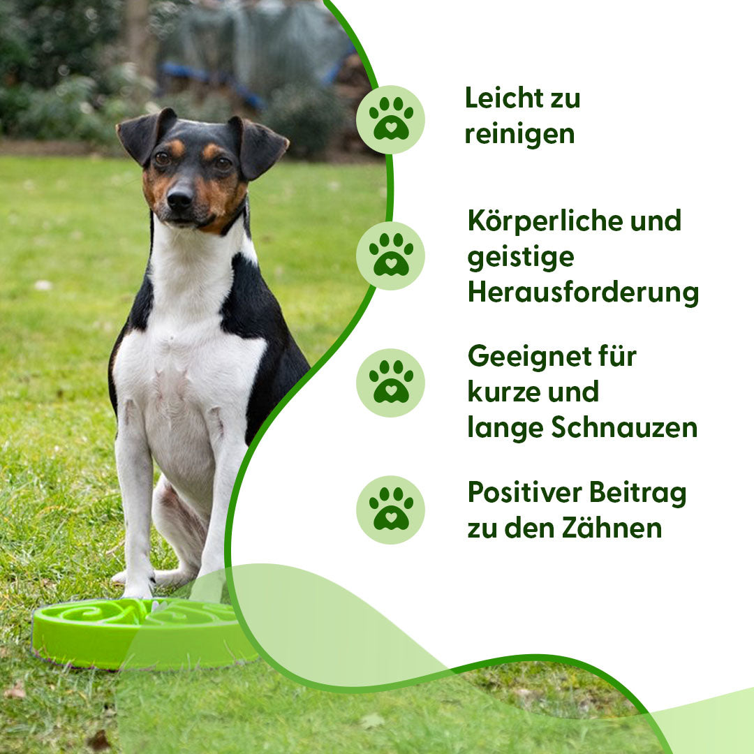 Eat Slow Live Longer Original Grün L