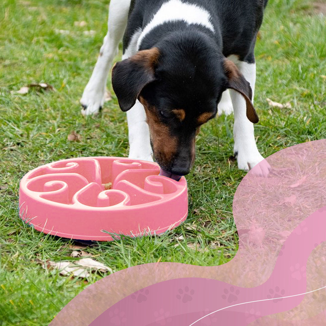 Eat Slow Live Longer Original Rosa S