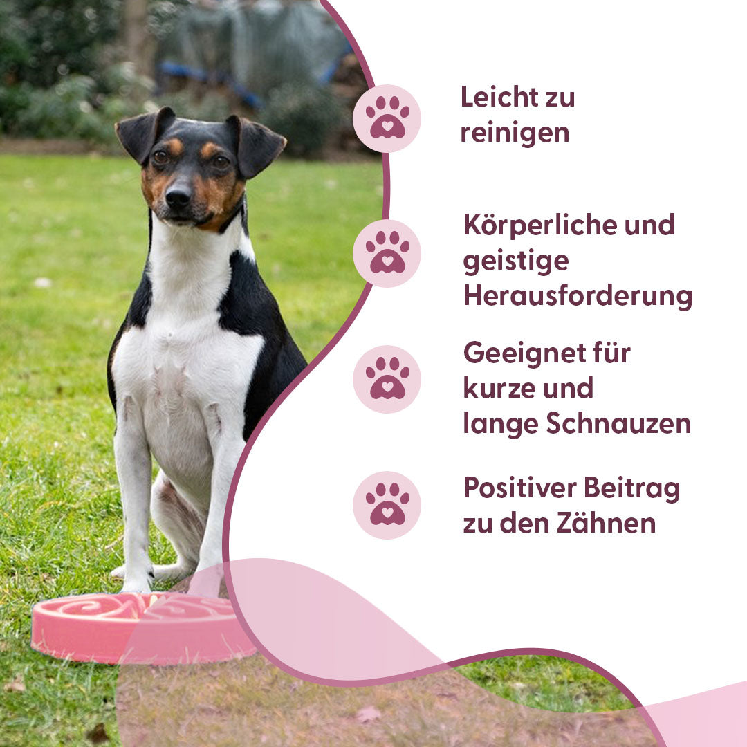 Eat Slow Live Longer Original Rosa S