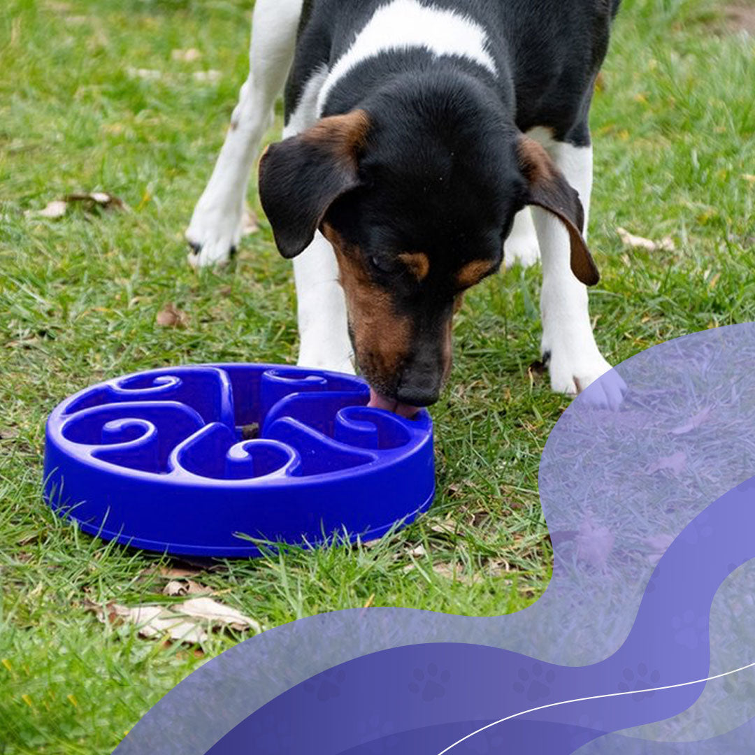 Eat Slow Live Longer Original Blau L