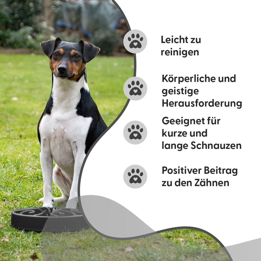 Eat Slow Live Longer Original Grau S