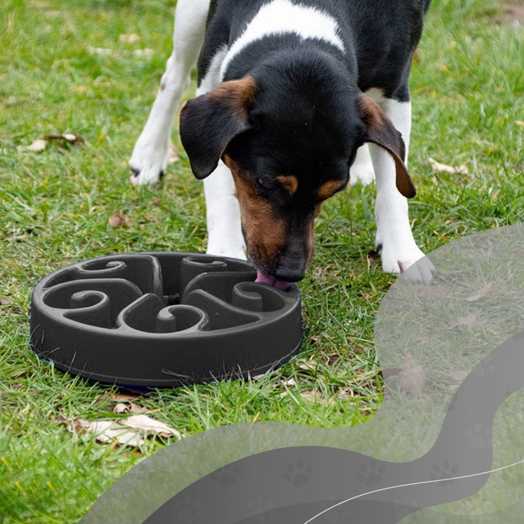 Eat Slow Live Longer Original Grau L