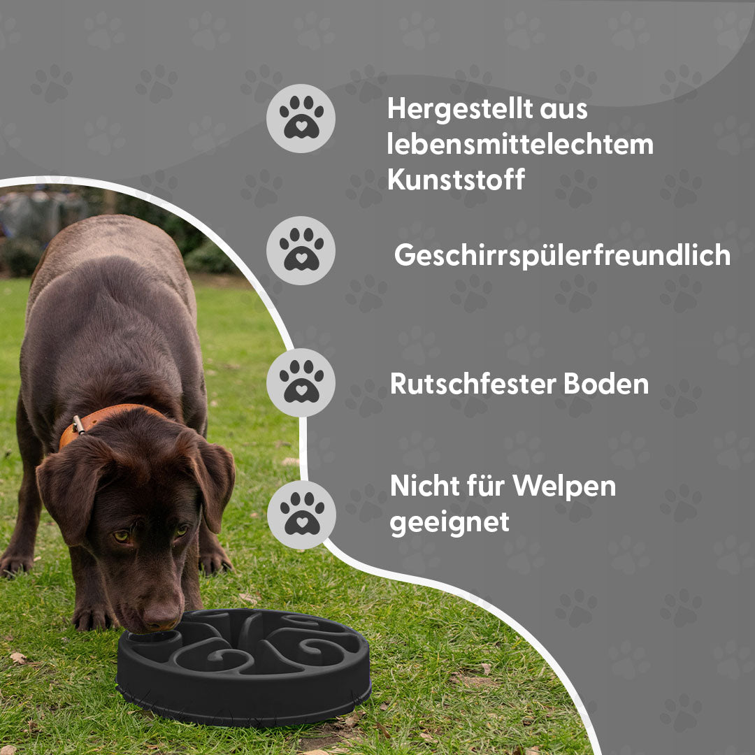 Eat Slow Live Longer Original Grau L