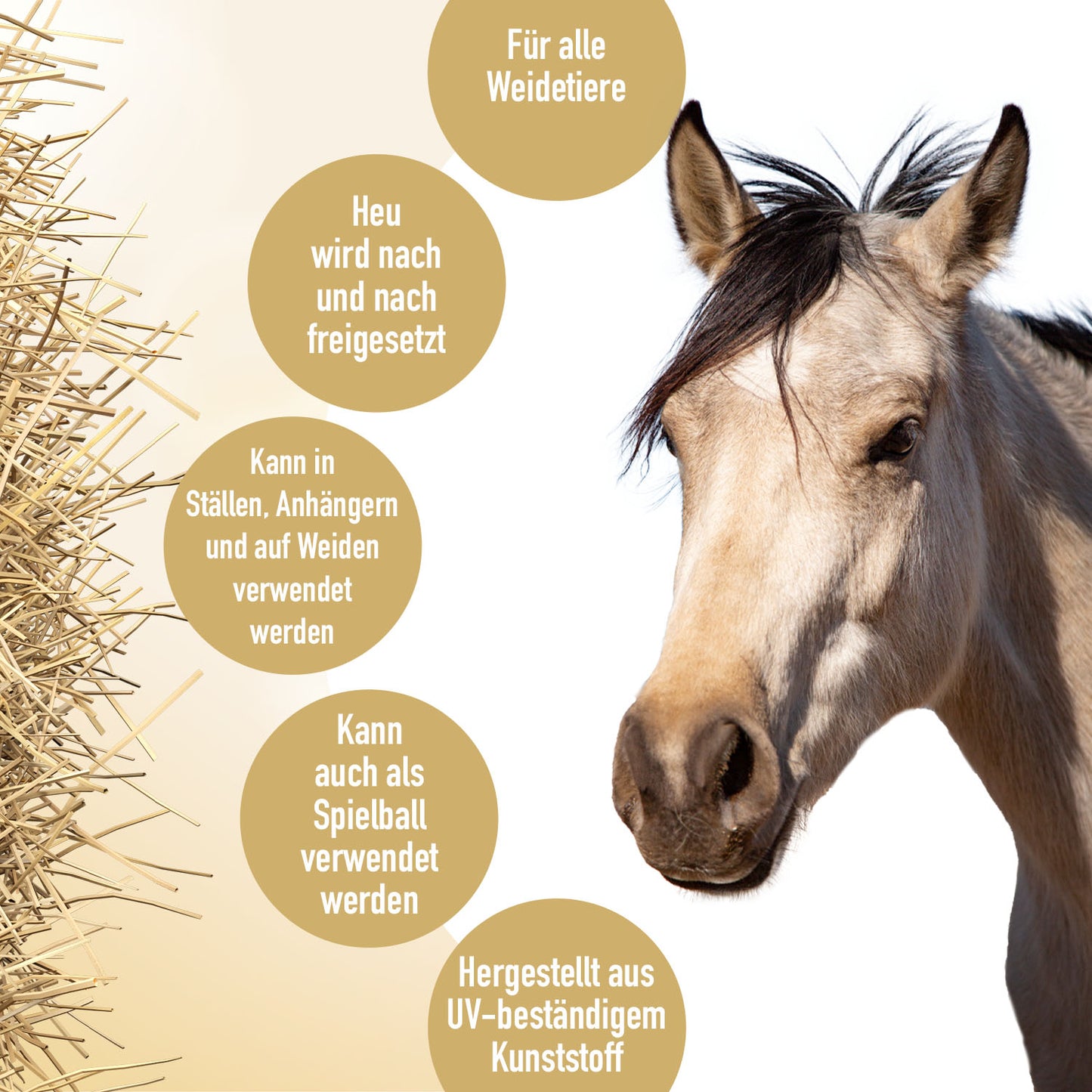 Hay Slow Feeder Fun & Flex Grün