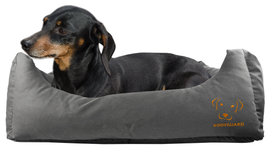 Bodyguard Sofa Bed Grau S