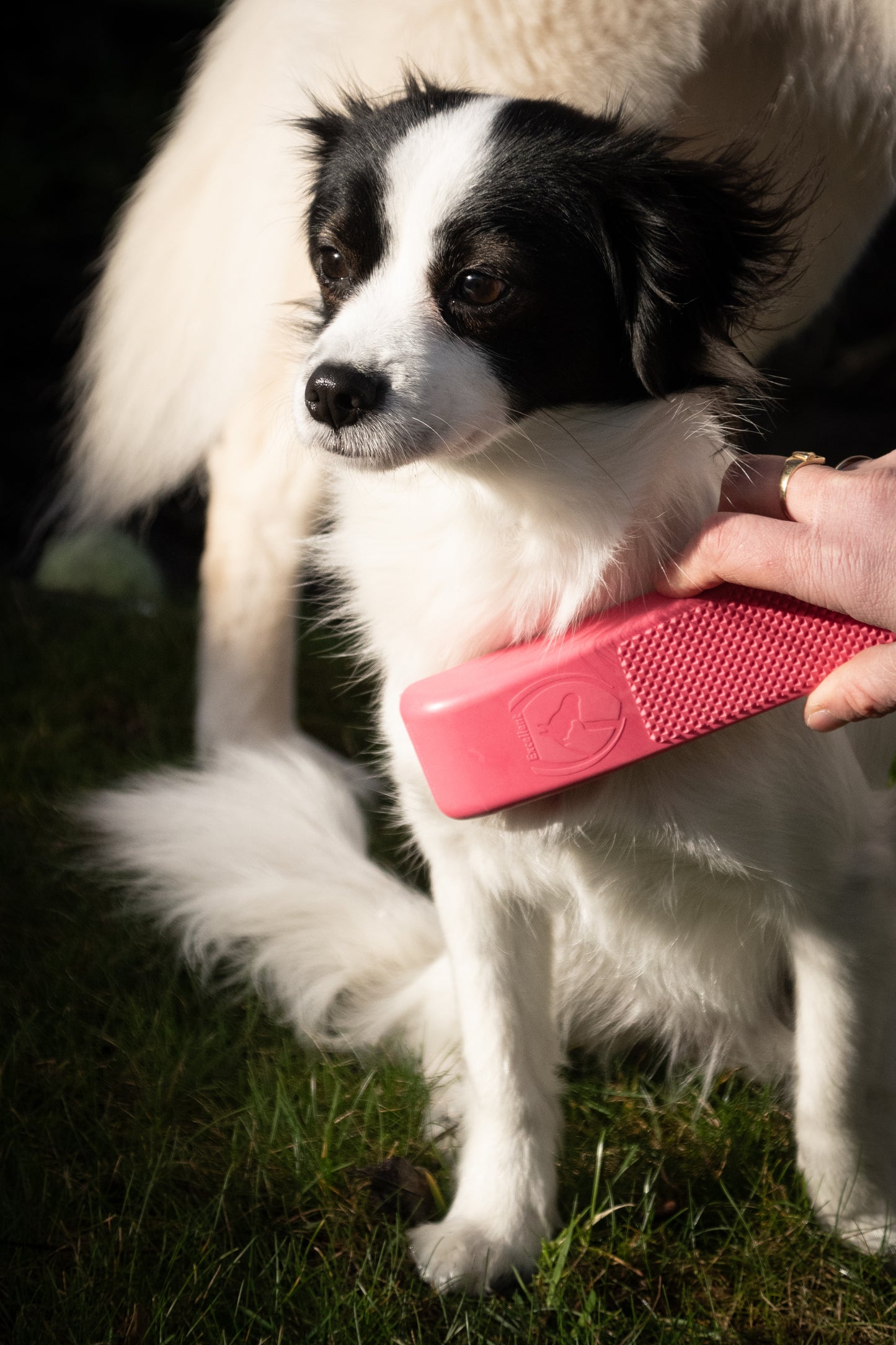 Excellent Pets Grooming Brush Medium Rosa