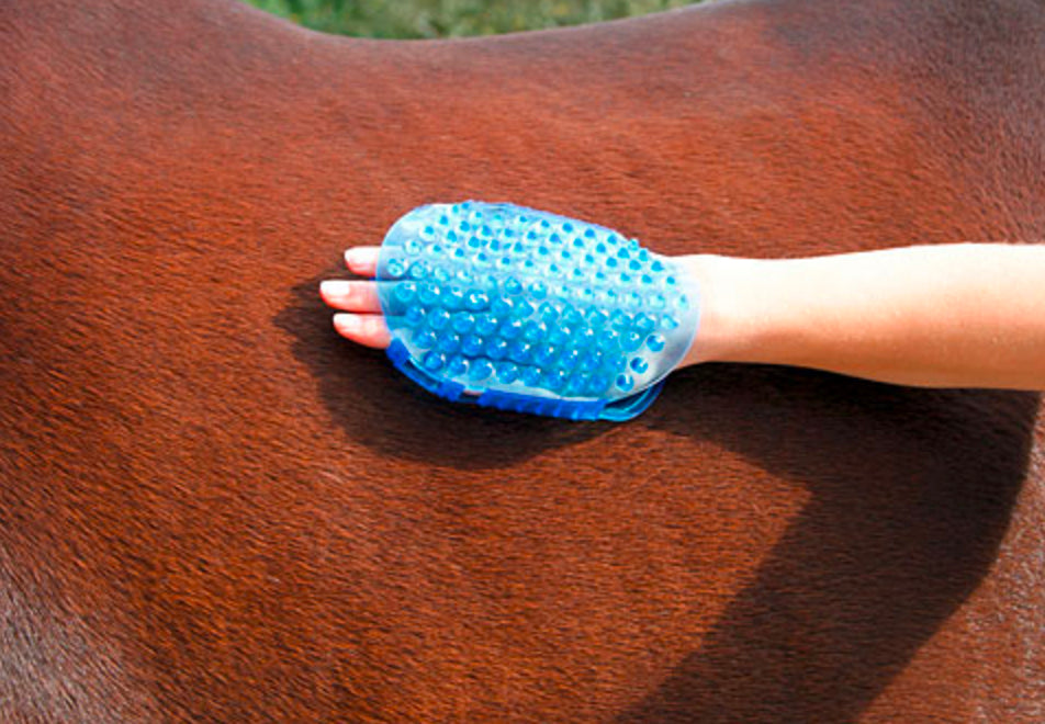 Bürste magnet massage Blau