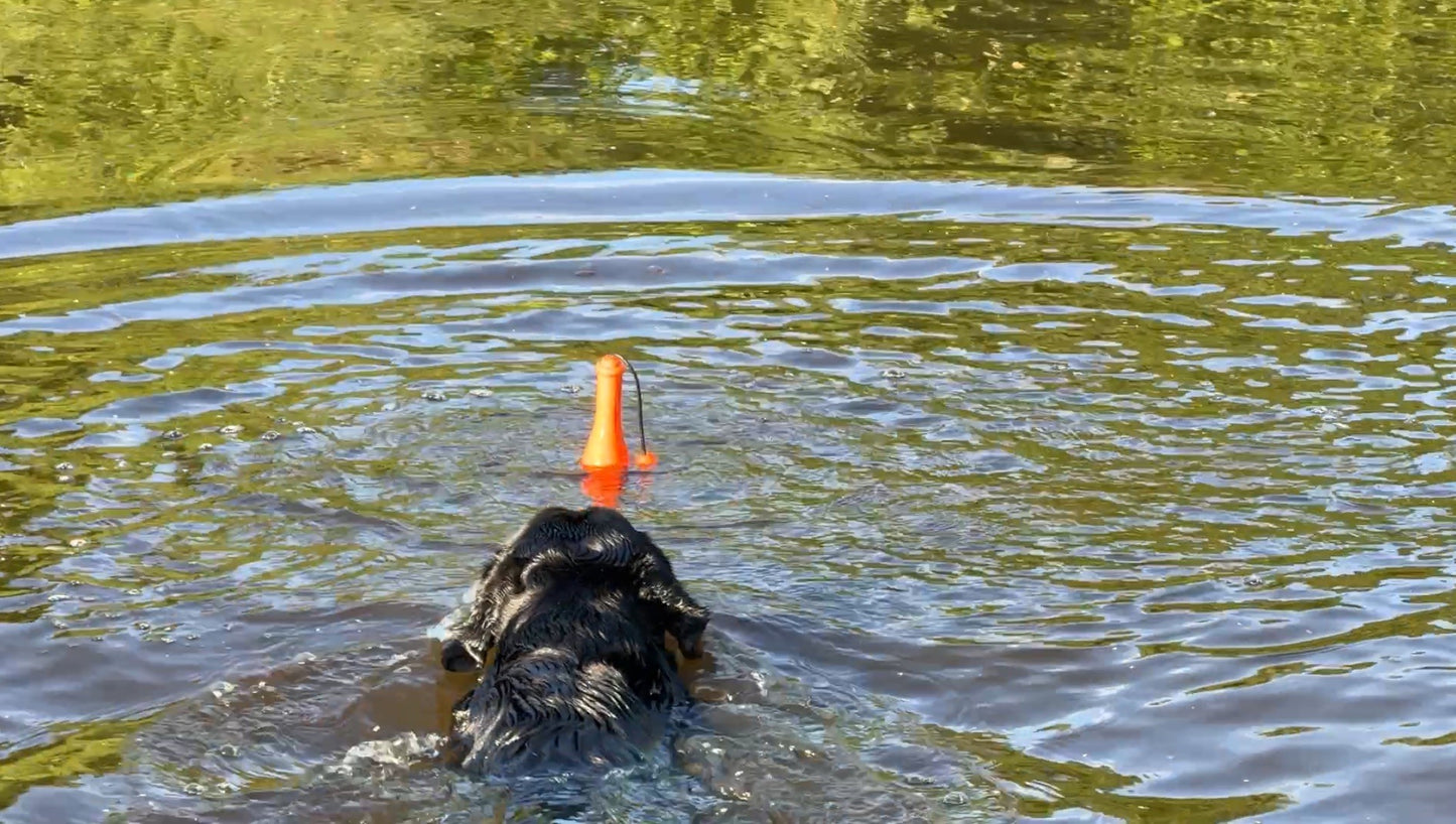 Dog Comets Bobber Grün