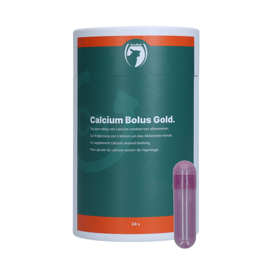 Excellent Sheep Calcium Bolus Gold 24 Stück
