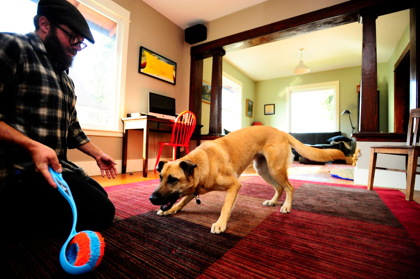 Chuckit! Indoor Roller