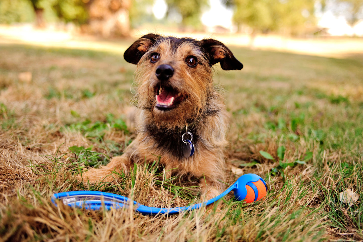 Chuckit! Ultra Ball S (2-pack)