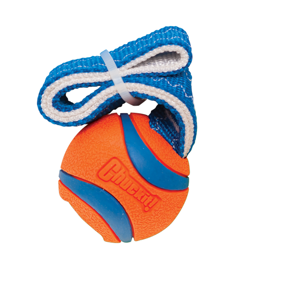 Chuckit! Ultra Tug S