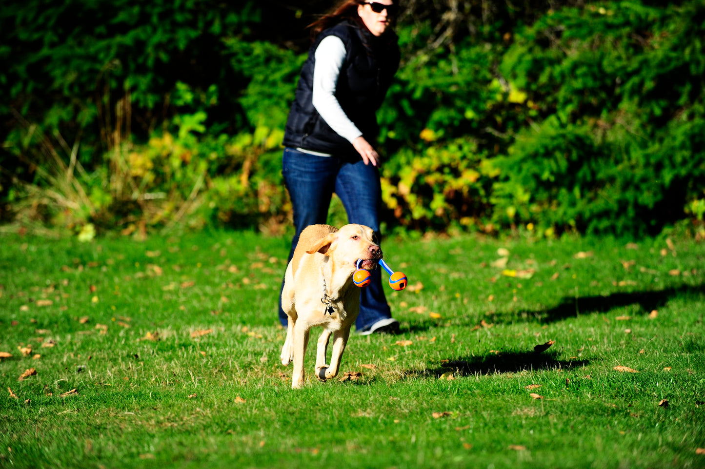 Chuckit! Ultra Duo Tug S