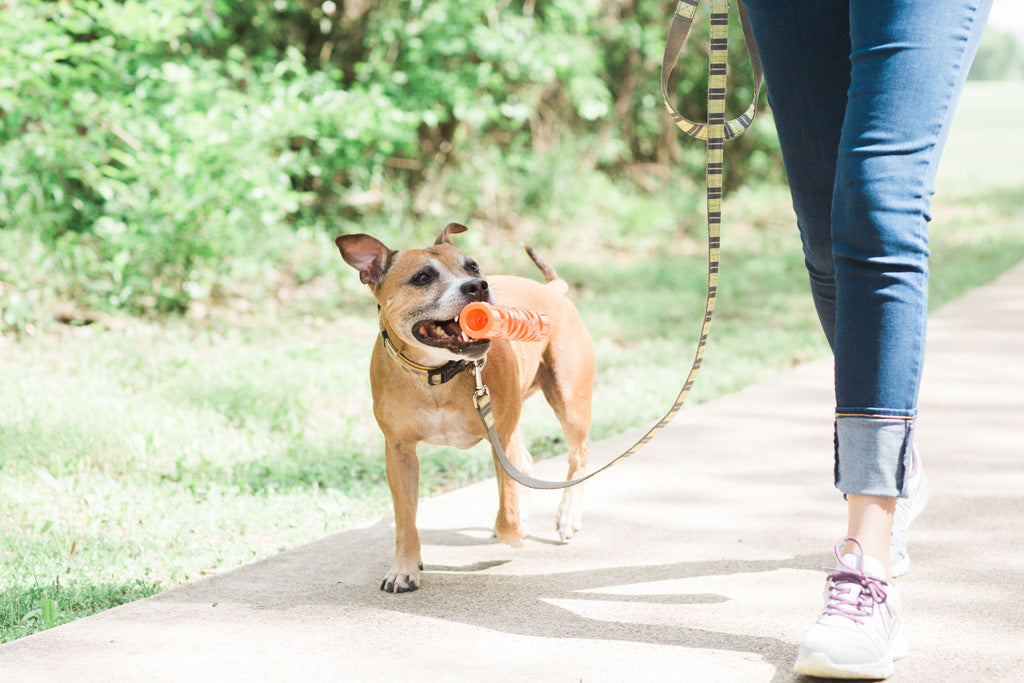Chuckit! Air Fetch Stick