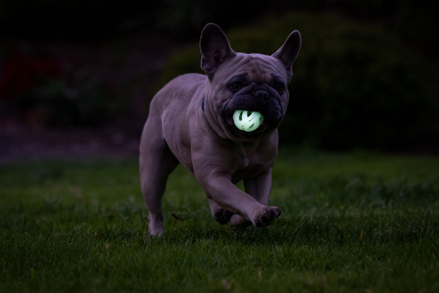 Chuckit! Air Glow Fetch Ball S (2-pack)