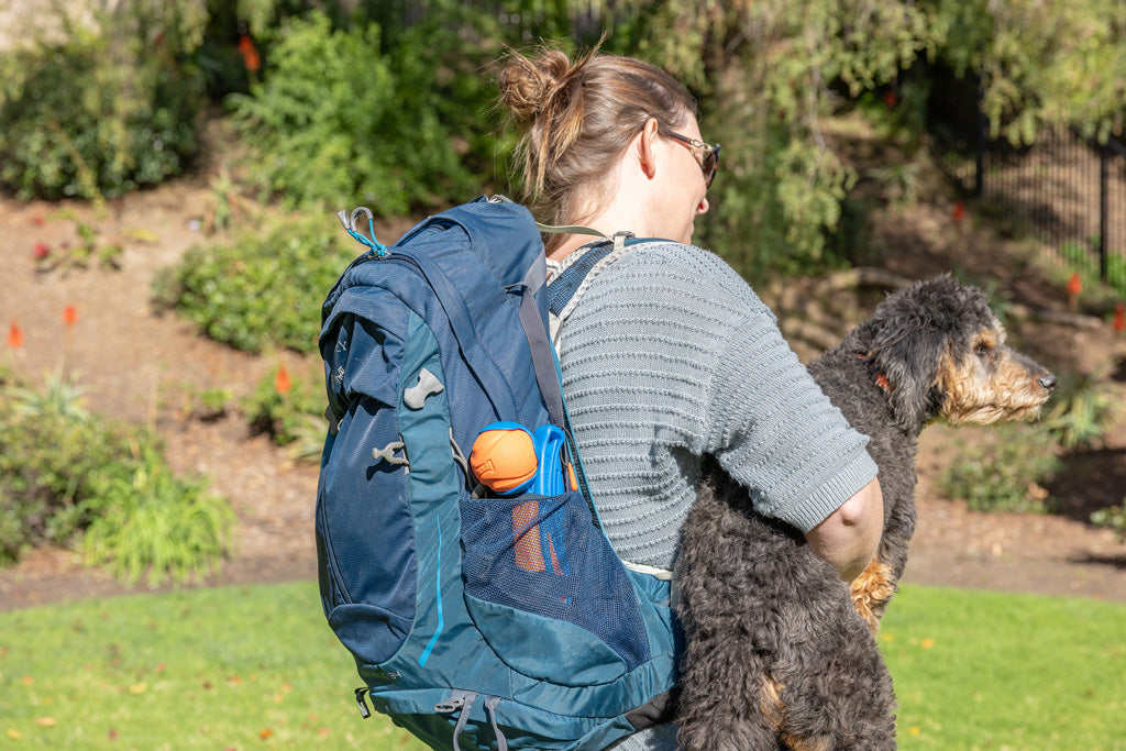 Chuckit! Fetch & Fold Launcher Mini