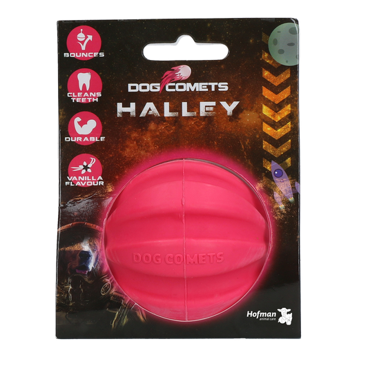 Dog Comets Halley Rosa