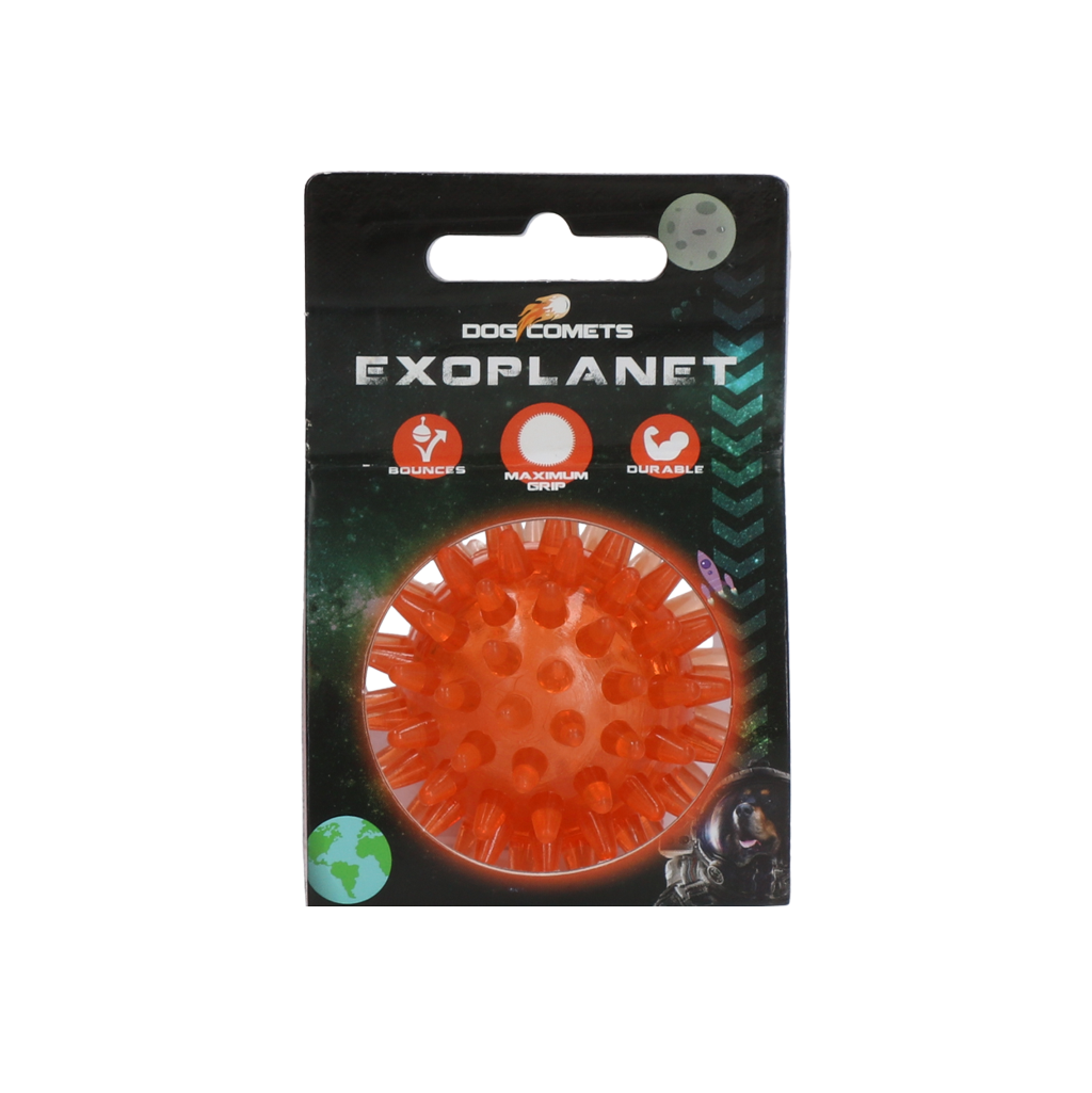 Dog Comets Exoplanet Igelball S Orange
