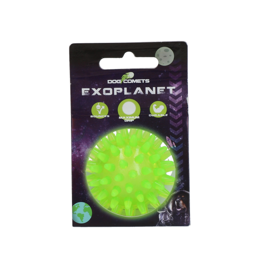 Dog Comets Exoplanet Igelball S Grün