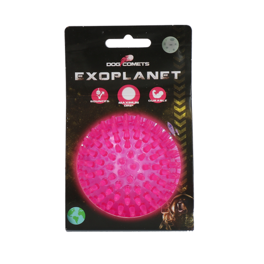 Dog Comets Exoplanet Igelball M Rosa