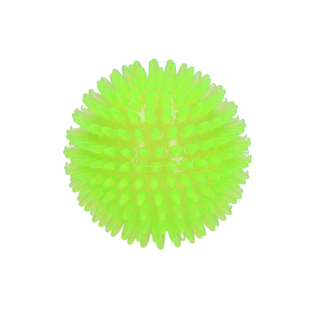 Dog Comets Exoplanet Igelball M Grün