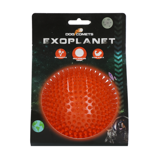 Dog Comets Exoplanet Igelball L Orange
