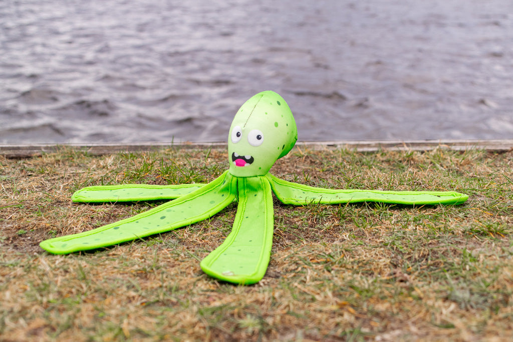 Dog Comets Alien Octo L Orange