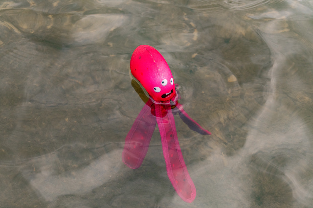 Dog Comets Alien Octo L Grün