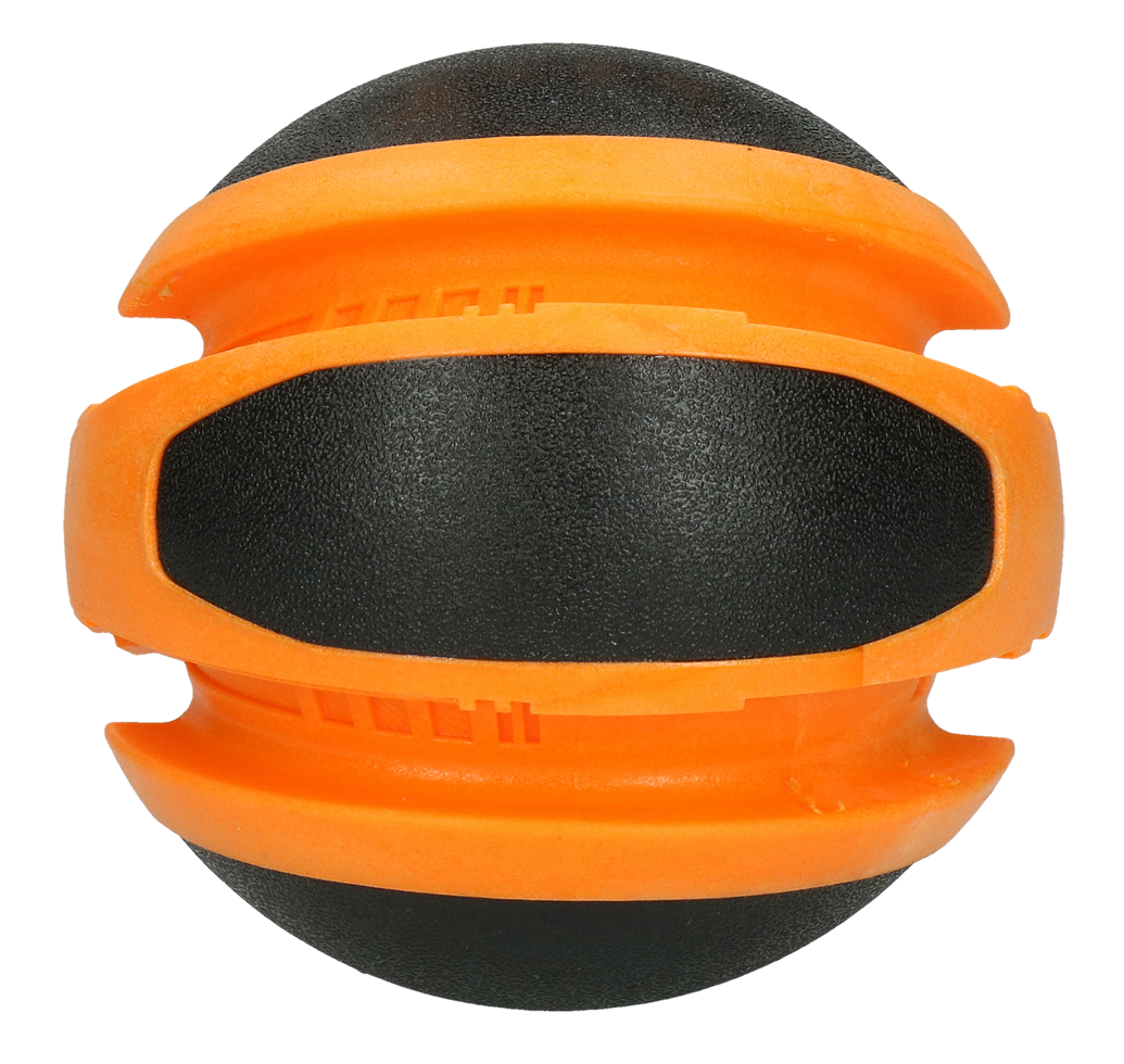 Dog Comets Planets Orange