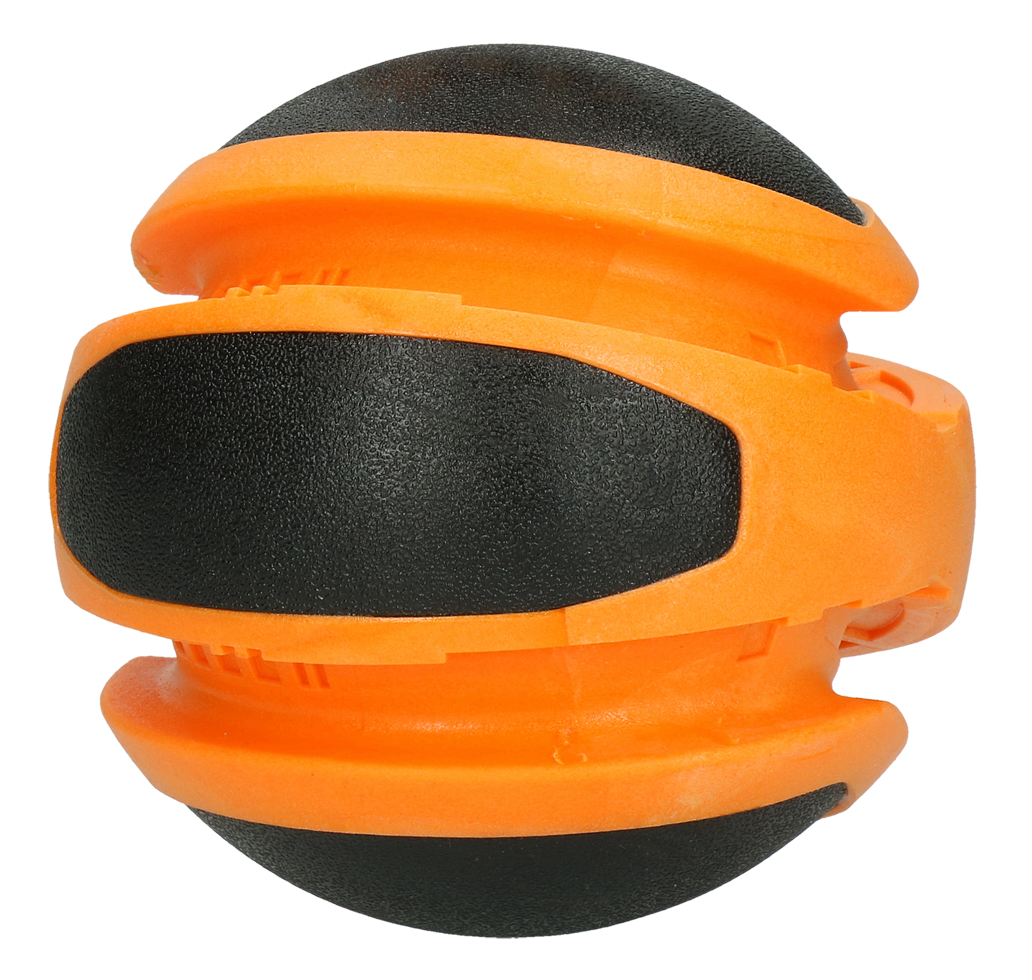 Dog Comets Planets Orange