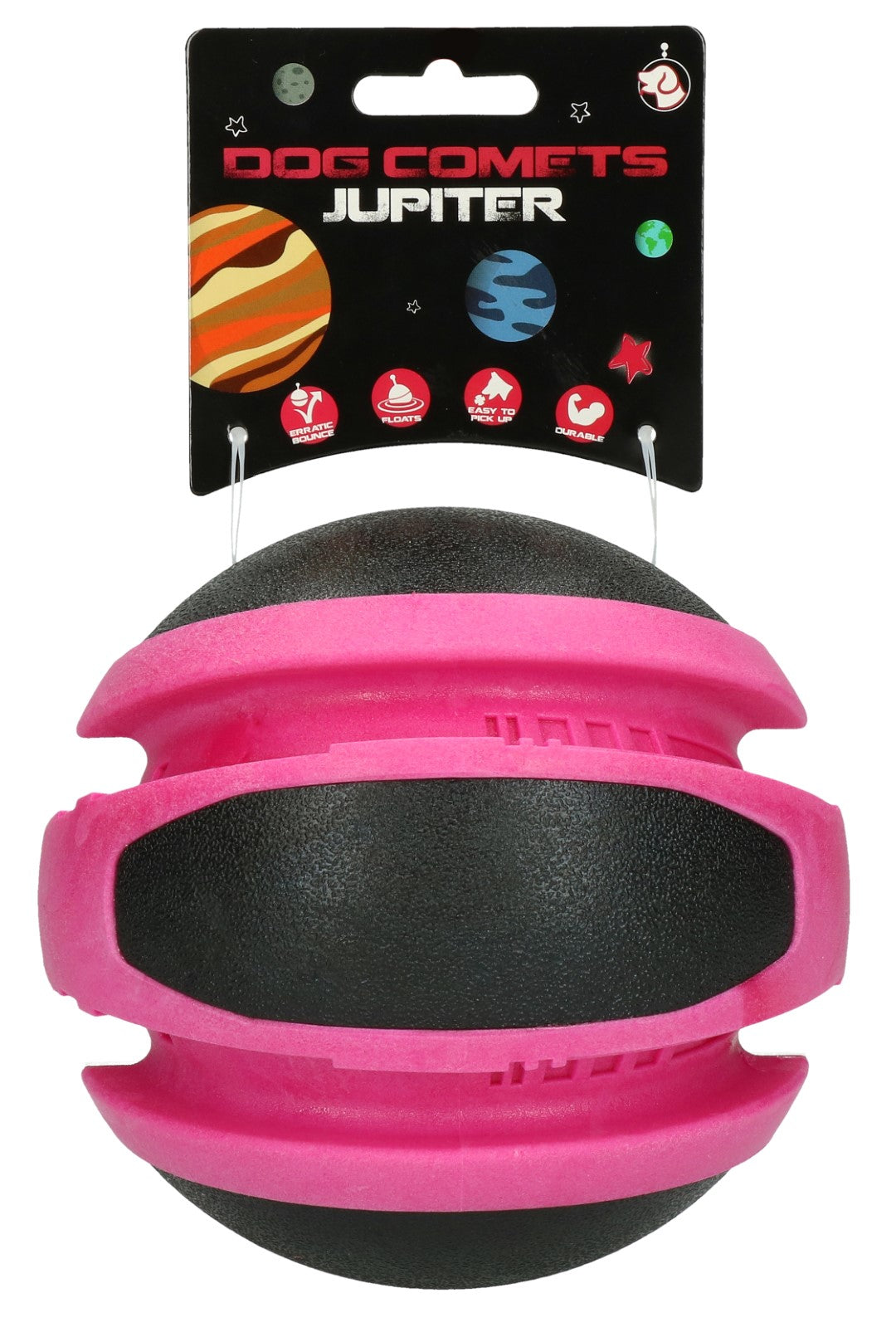 Dog Comets Planets Rosa