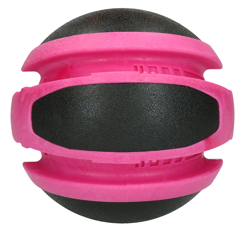 Dog Comets Planets Rosa