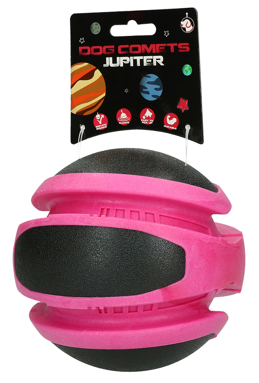 Dog Comets Planets Rosa