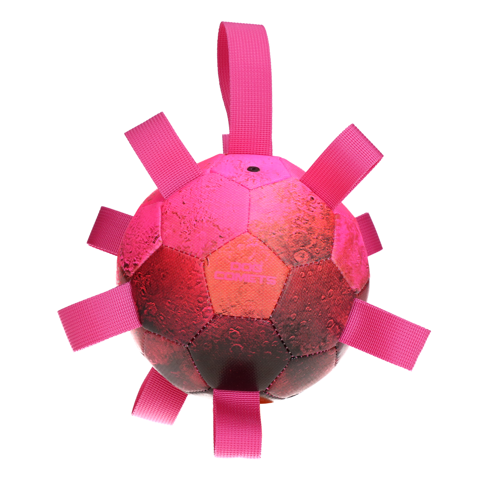 Dog Comets Hypernova Orange Rosa