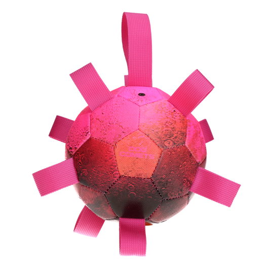 Dog Comets Hypernova Orange Rosa