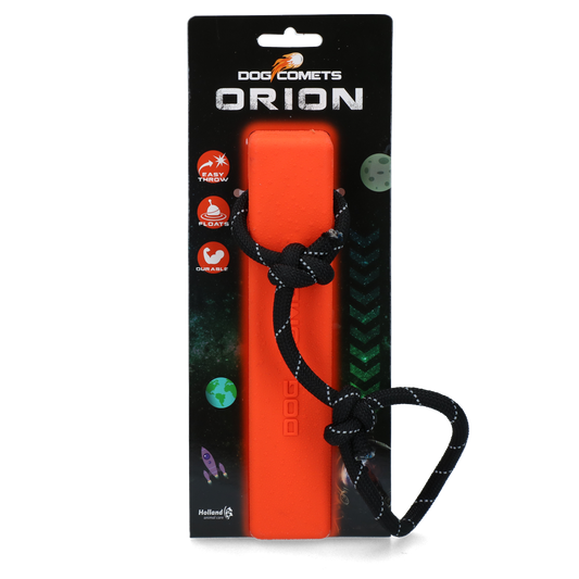 Dog Comets Orion Orange