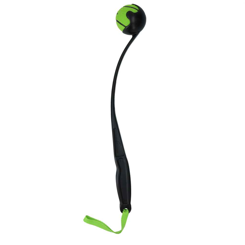 Dog Comets Launcher (Ballwerfer) Grün M